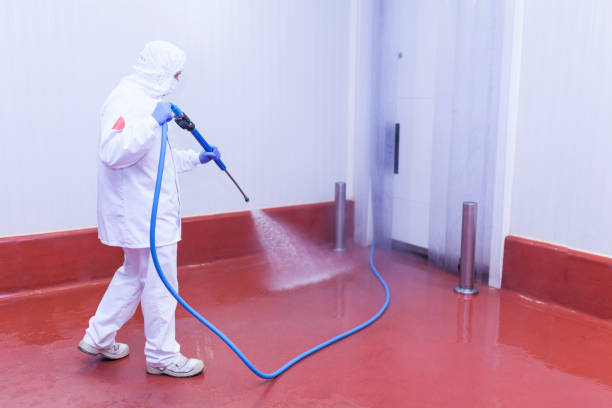 Best Patio and Deck Pressure Washing  in Darlington, SC